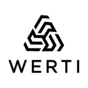 WERTI DISPOSABLE